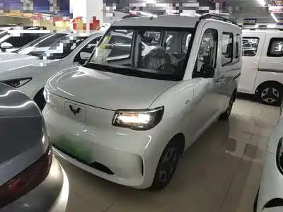 Wuling Sunshine
