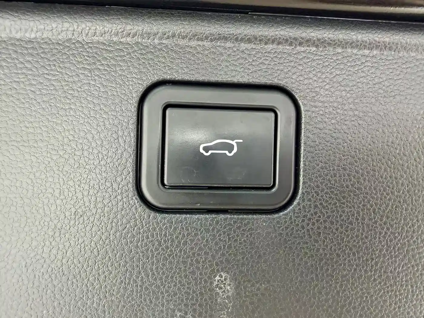 Haval Big Dog 2022 1.5T DCT FWD Border Collie Edition фото 12