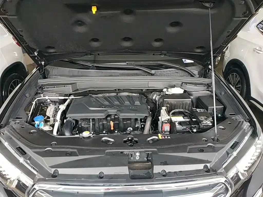 Haval H6 Coupe 2018 Blue Label 1.5T Auto 2WD Luxury Edition фото 20