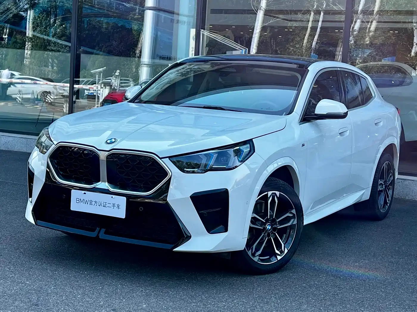 BMW X2 (Import) 2024 2024 sDrive25i M Sport Package