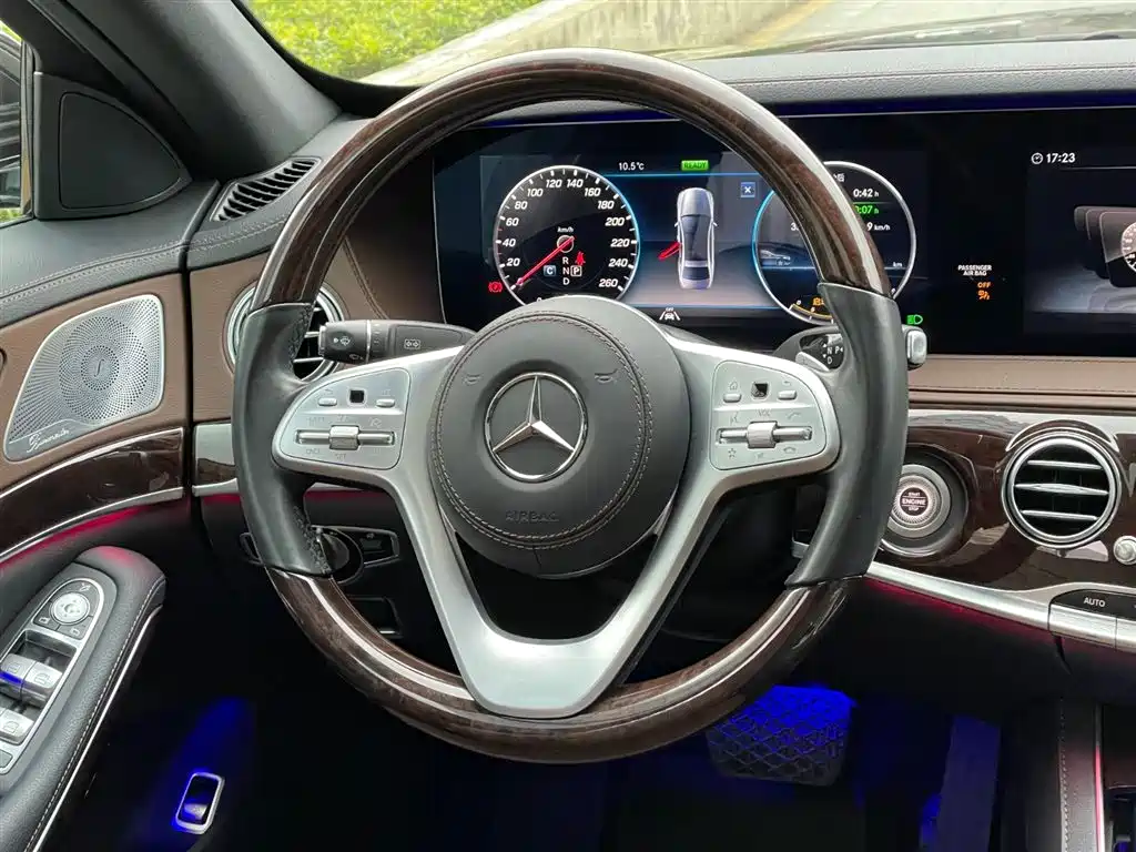 Mercedes-Benz S-Class 2020 S 350 L Premium Edition Collector's Version фото 19