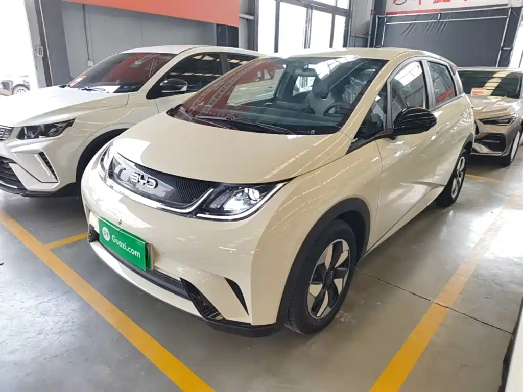 BYD Dolphin 2026 2025 420km Freedom Edition