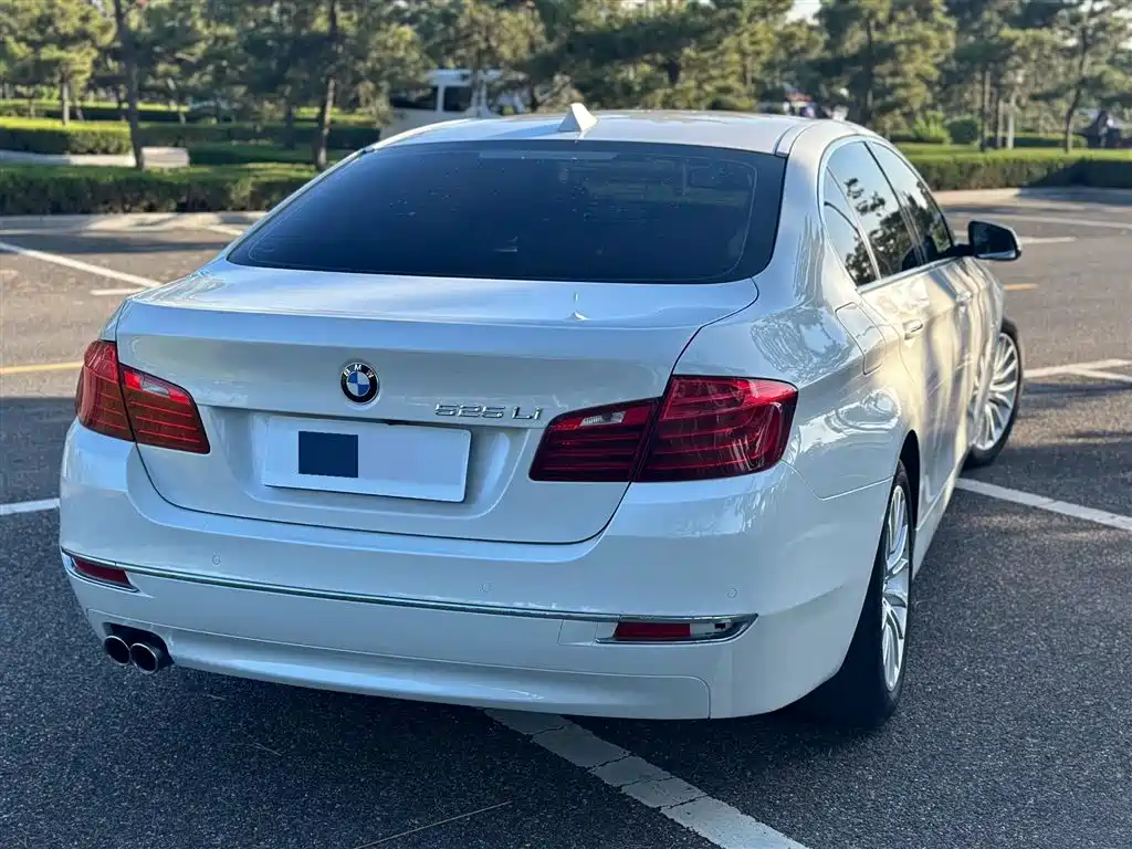 BMW 5 Series 2017 525Li Luxury Design Package фото 6