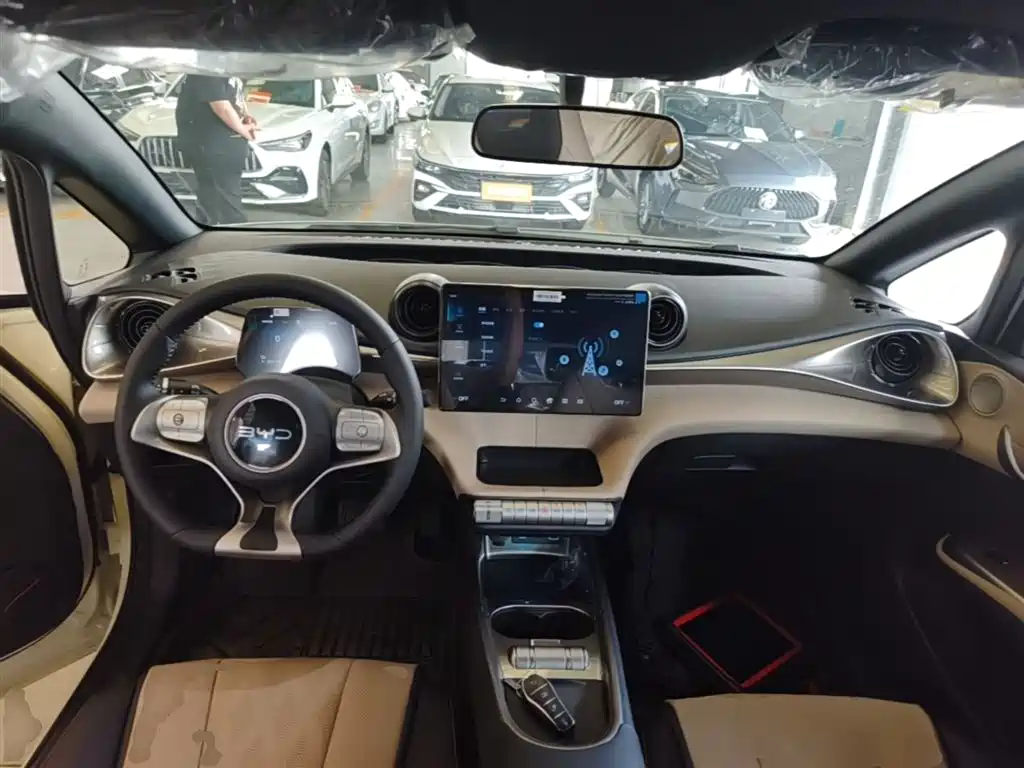BYD Dolphin 2026 2025 420km Freedom Edition