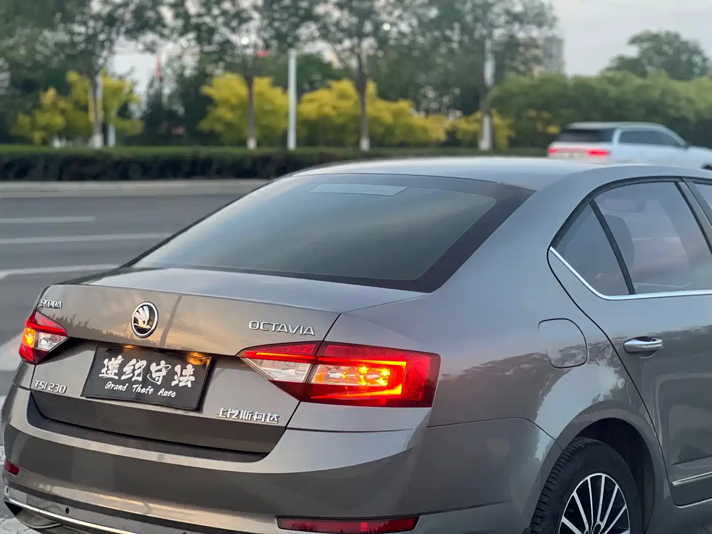 Škoda Octavia 2018 TSI230 DSG Luxury Edition фото 17