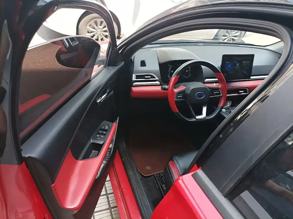BYD e2 2020 Upgraded Long Range Luxury фото 16