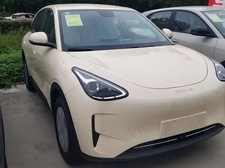 Geely Galaxy Starry Wish 2026 2026 Edition 310km Youth Version