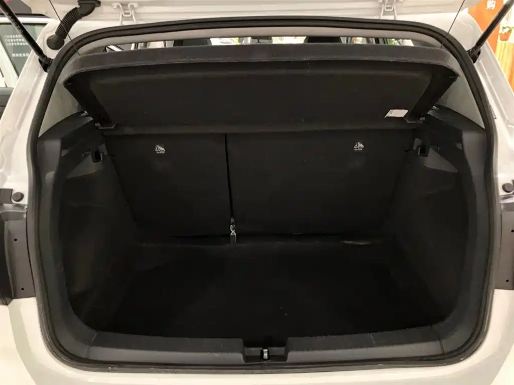Volkswagen Tanying 2024 2023 Model 200TSI DSG Joy Smart Connect Edition