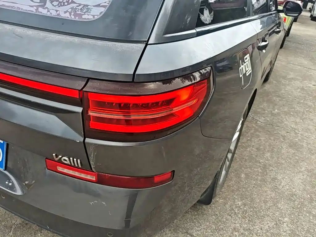 Baojun Valli 2021 2021 1.5T Dali Sky CVT Premium
