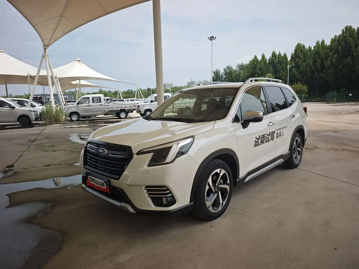 2026 Subaru Forester
