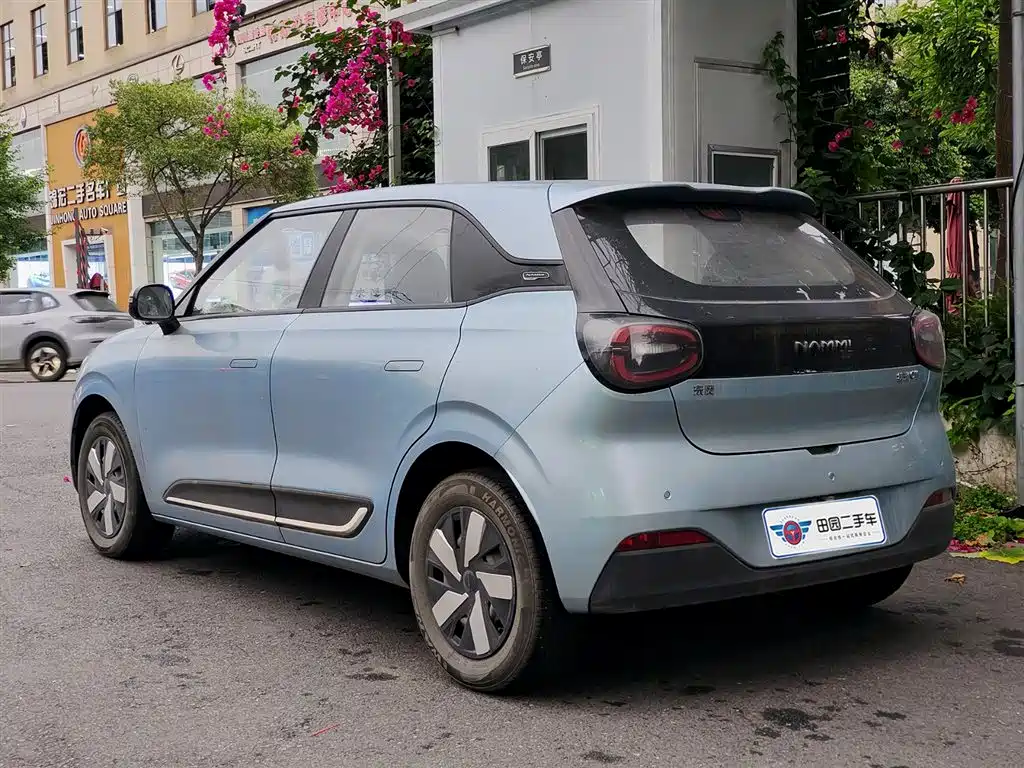 Dongfeng Yipai Nano 01 2024 2024 330 Air