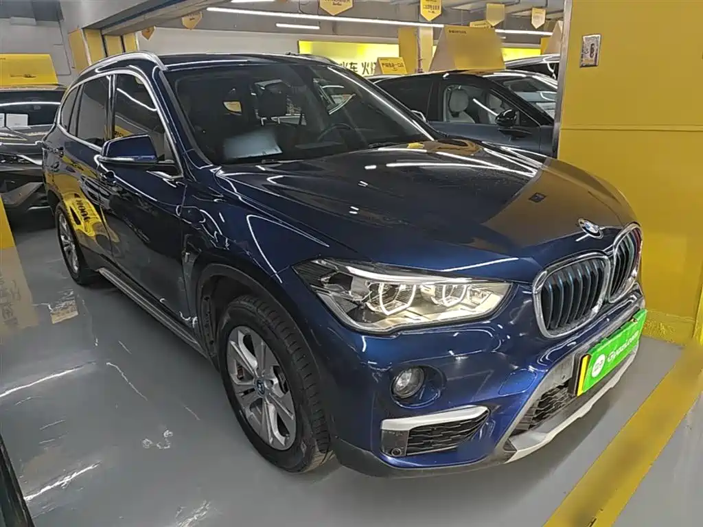 BMW X1 New Energy 2019 xDrive25Le Range Upgrade Edition фото 4