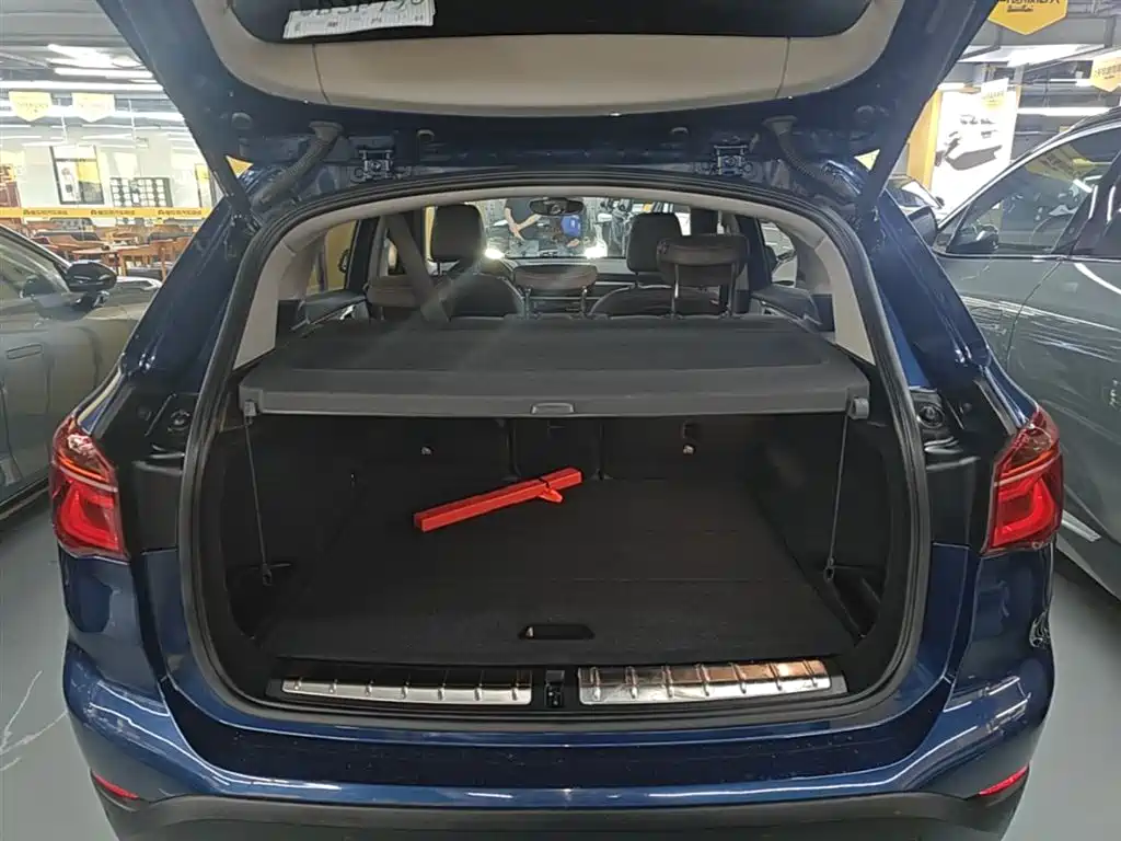 BMW X1 New Energy 2019 xDrive25Le Range Upgrade Edition фото 19