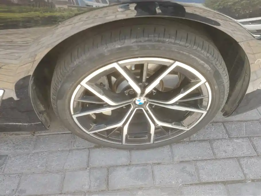 BMW 5 Series 2021 530Li Premium M Sport Package фото 6
