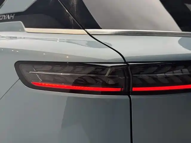 Voyah Auto VOYAH FREE 2021 AWD Standard Range Extender Exclusive Luxury Package фото 17