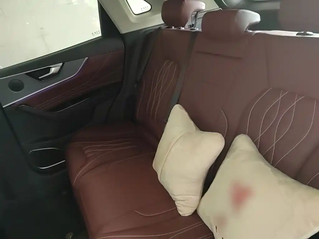 Hongqi HS5 2026 2025 2.0T 4WD Qixiang Pro