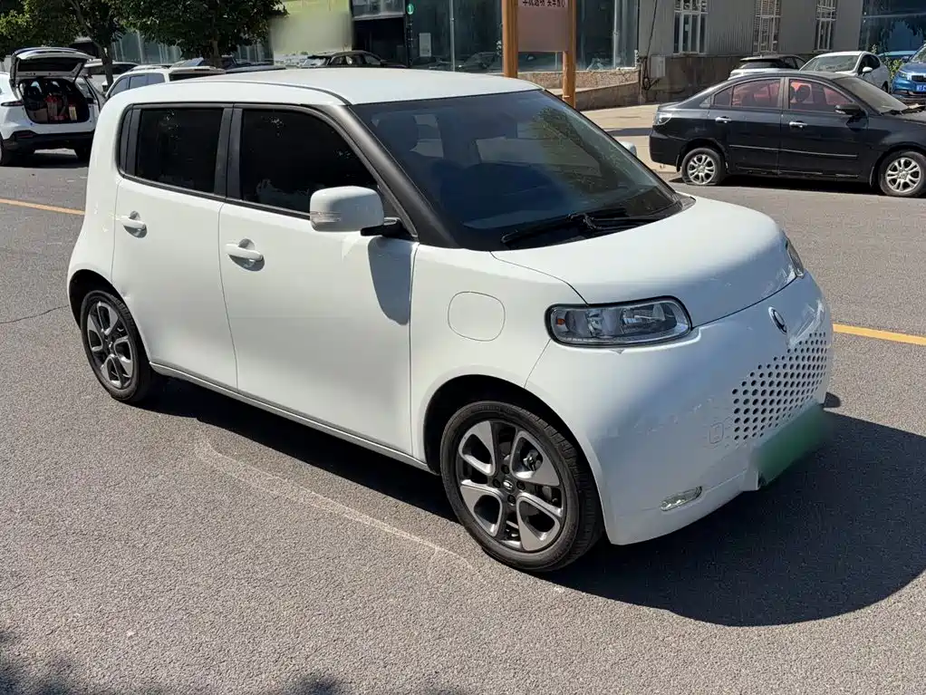 Ora White Cat 2021 2022 Upgraded 305km Luxury (NMC)