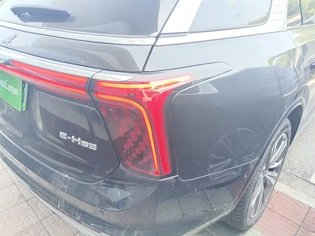 Hongqi E-HS9 2021 460km Flagship Comfort 6-seater фото 8