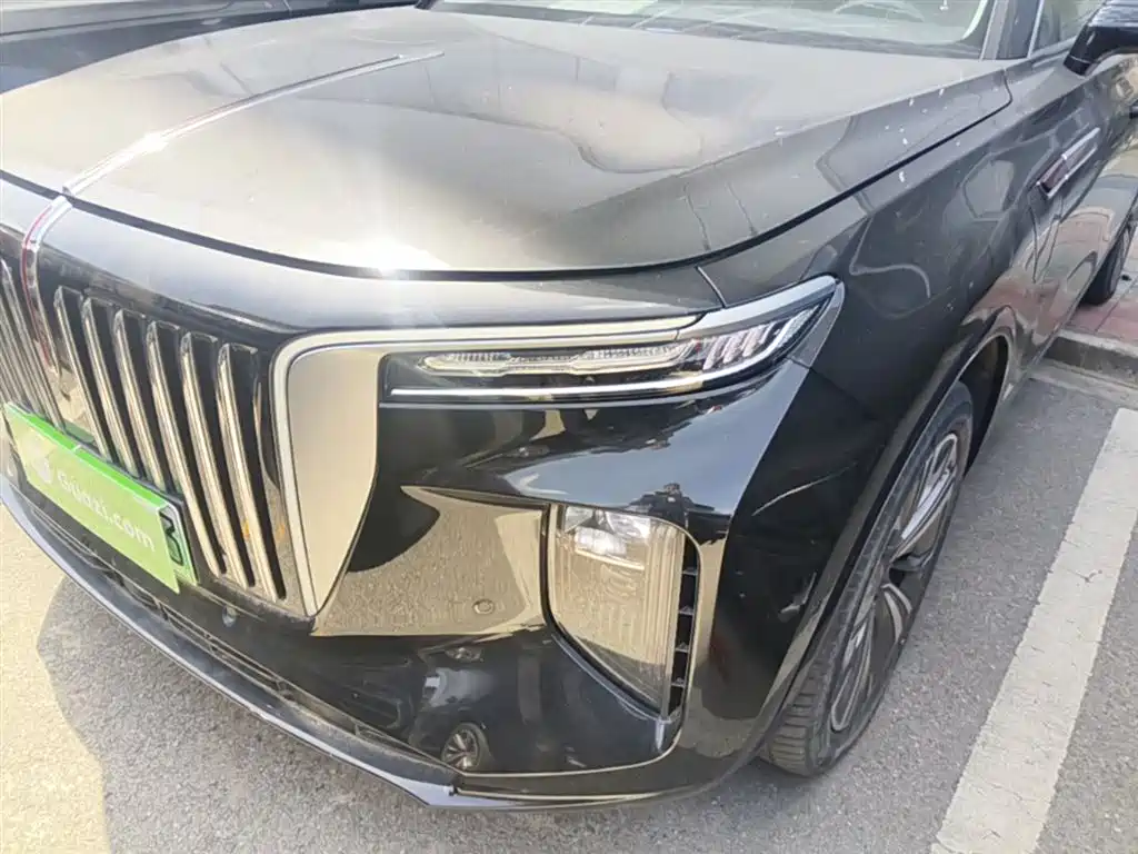 Hongqi E-HS9 2021 460km Flagship Comfort 6-seater фото 24
