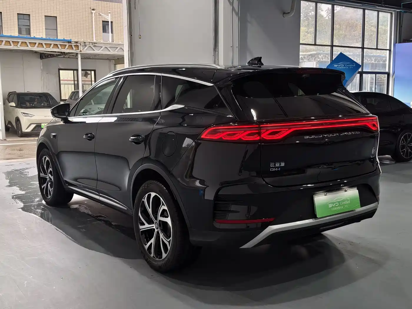 BYD Tang New Energy 2025 Smart Driving Edition DM-i 115KM Flagship фото 4
