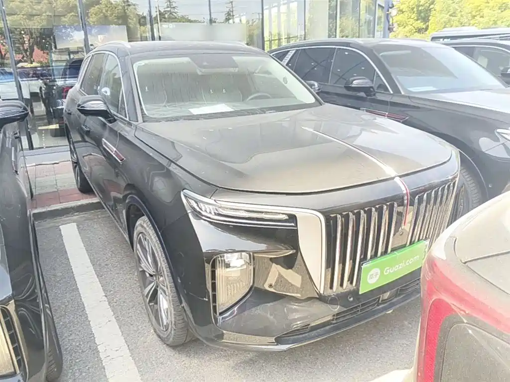 Hongqi E-HS9 2021 460km Flagship Comfort 6-seater фото 4