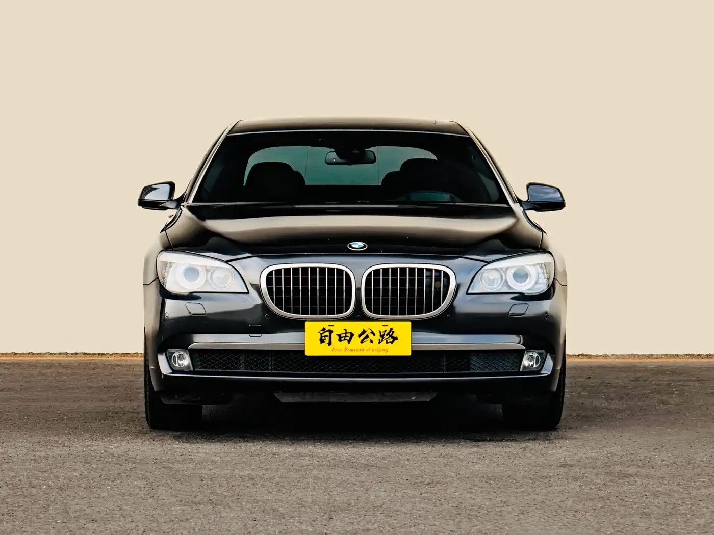 BMW 7 Series 2009 750Li Premium фото 2