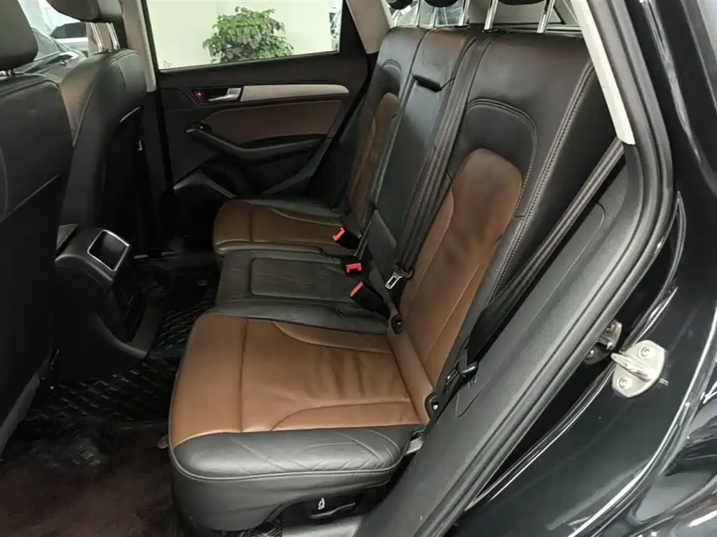 Audi Q5 2018 Collector's Edition 40 TFSI Progressive фото 17