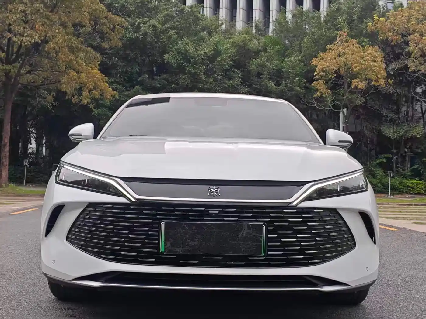BYD Qin L 2024 DM-i 80KM Leading Edition фото 3