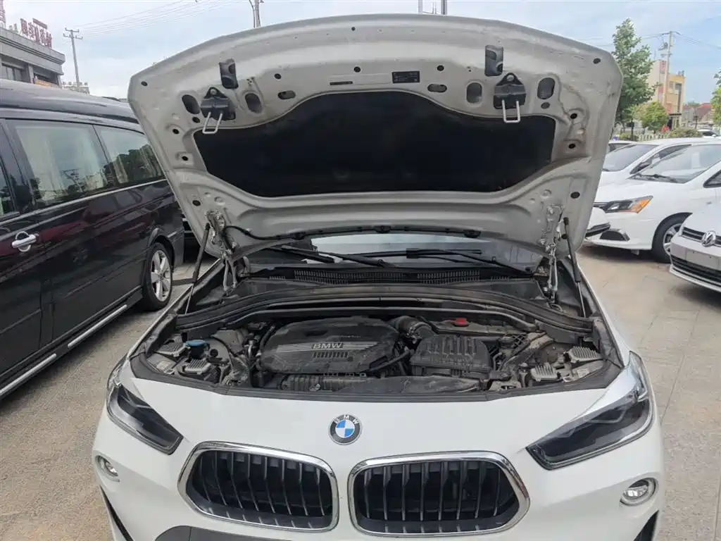 BMW X2 (Import) 2019 sDrive20i M Off-Road Package China VI фото 20