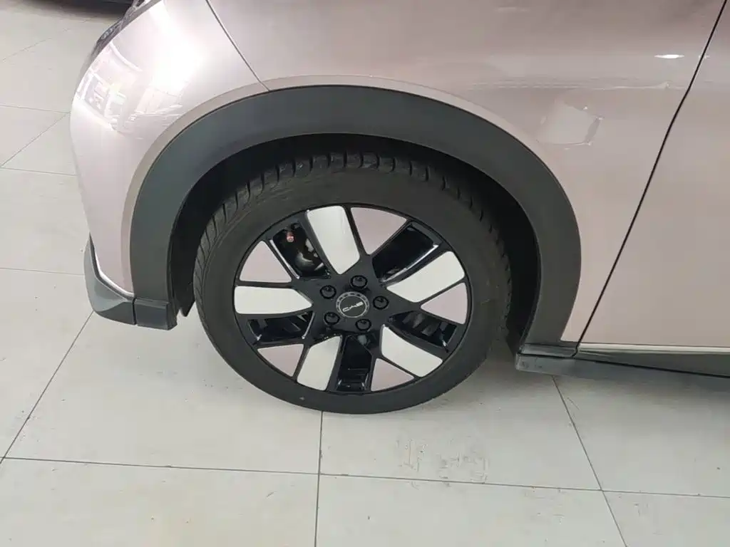 BYD Dolphin 2021 2021 401km Knight Edition