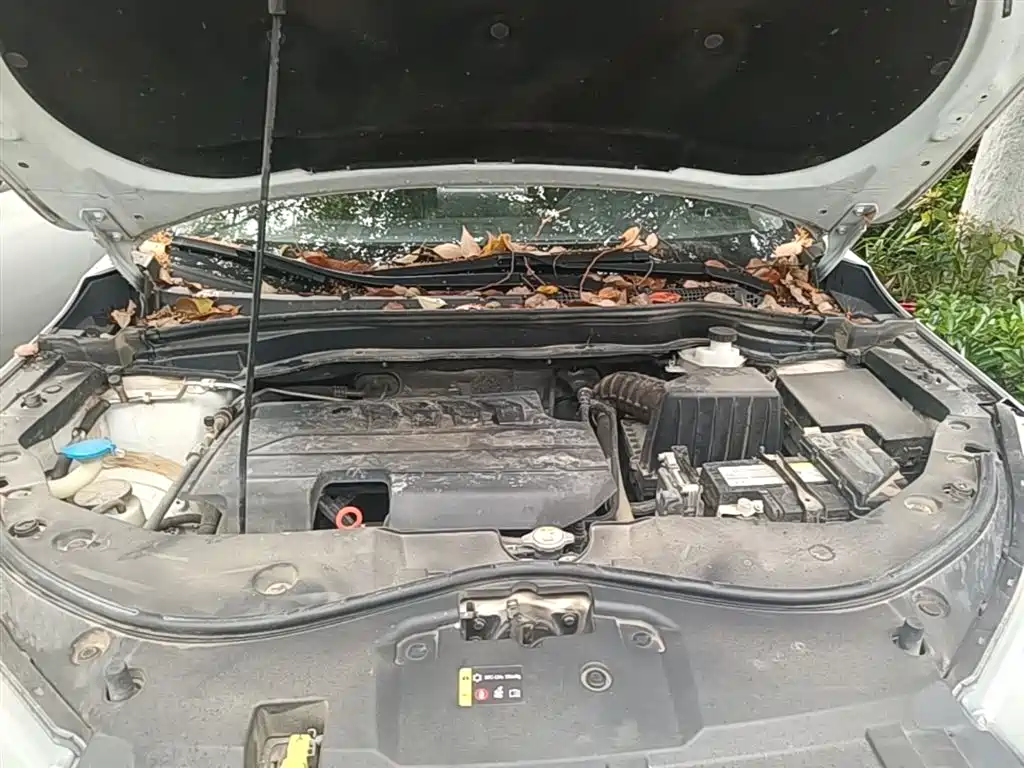 Haval M6 2023 PLUS 1.5T DCT Elite Smart Connect фото 20