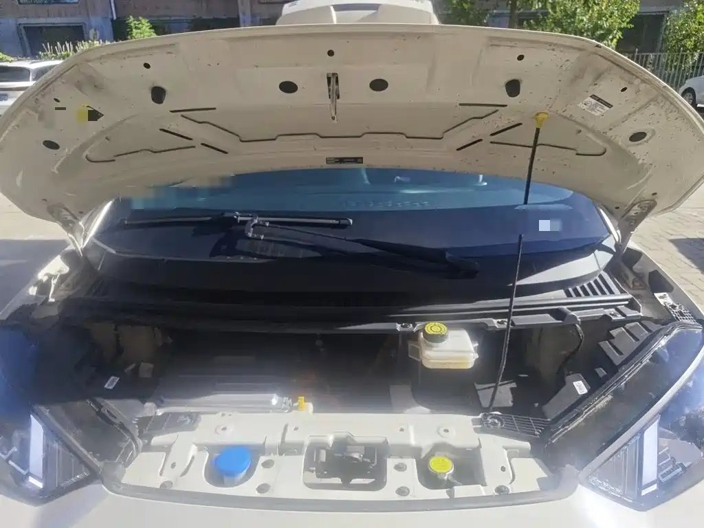 BYD Seagull 2026 2025 Smart Drive Edition 305km Freedom Version