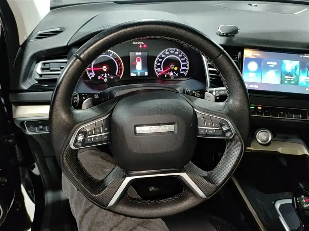 Haval H6 2020 2.0GDIT Automatic Platinum Champion Edition фото 11