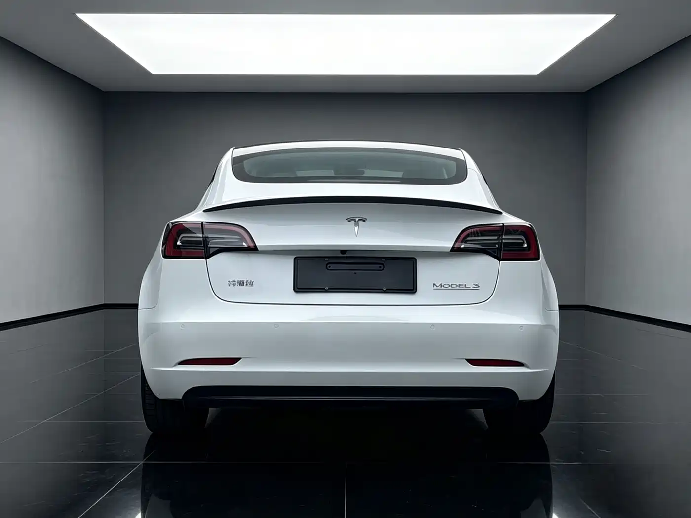 Tesla Model 3 2022 Performance High-Performance AWD фото 9