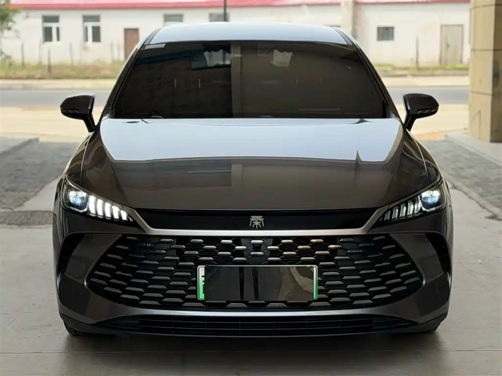 BYD Qin PLUS 2025 DM-i Smart Drive 55KM Leader фото 6