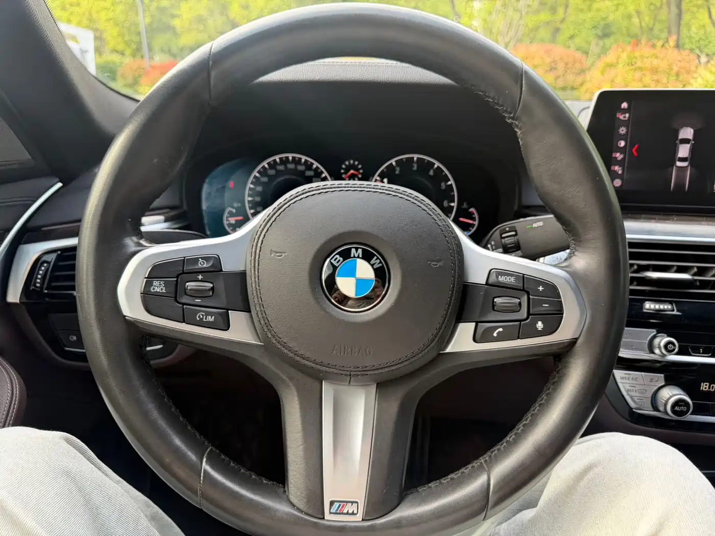 BMW 5 Series 2019 525Li M Sport Package фото 14