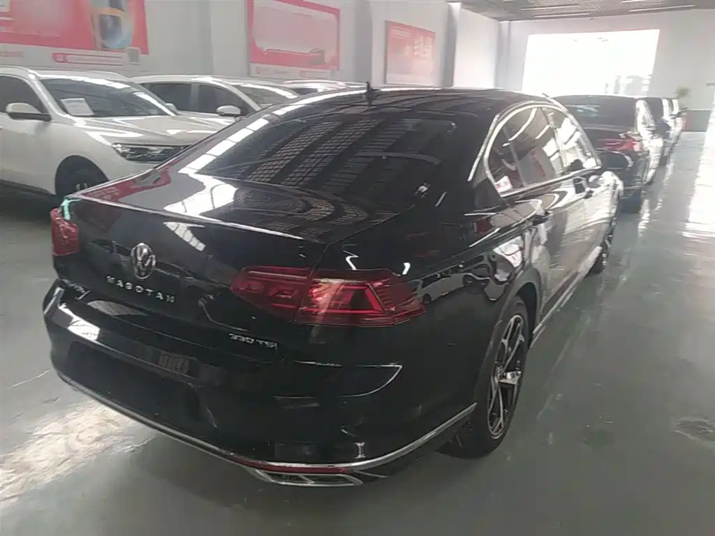 Volkswagen Magotan 2024 2 Million Units Public Sharing Edition 330TSI DSG Luxury фото 7