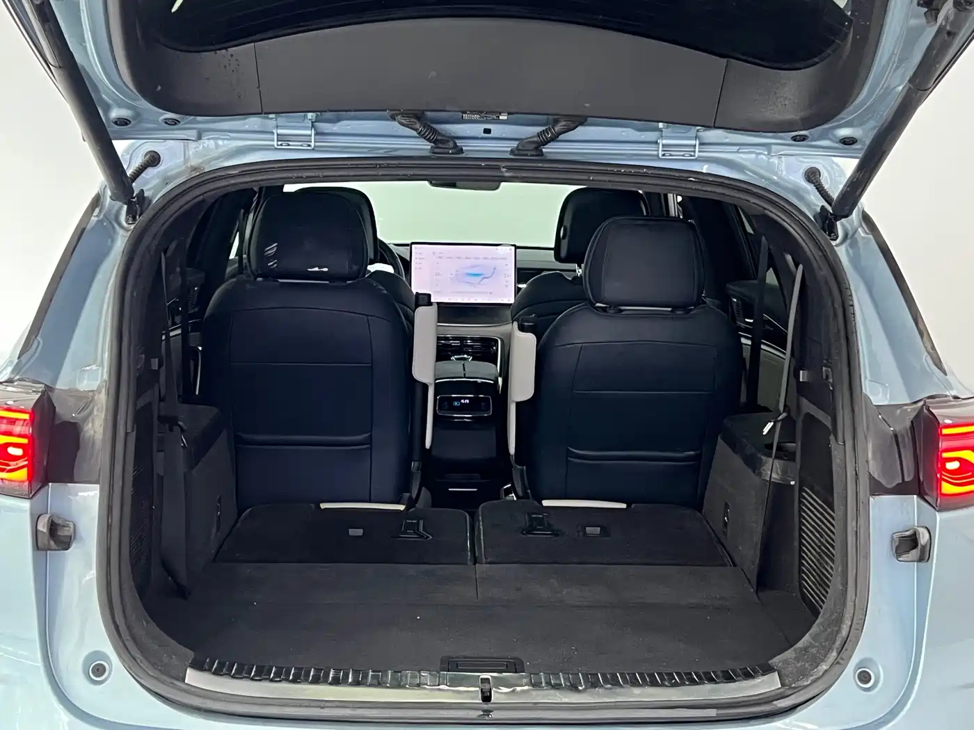 BYD Tang New Energy 2024 DM-p Champion Edition 215KM AWD Flagship фото 8