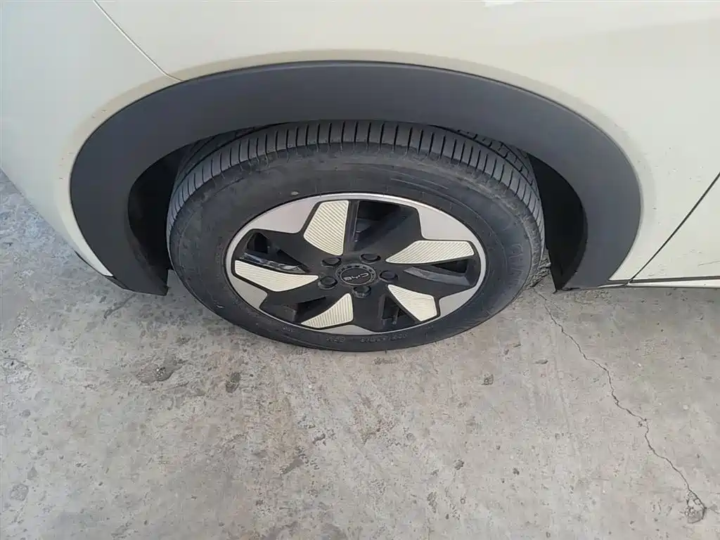 BYD Dolphin 2024 Glory Edition 420km Freedom Edition фото 25