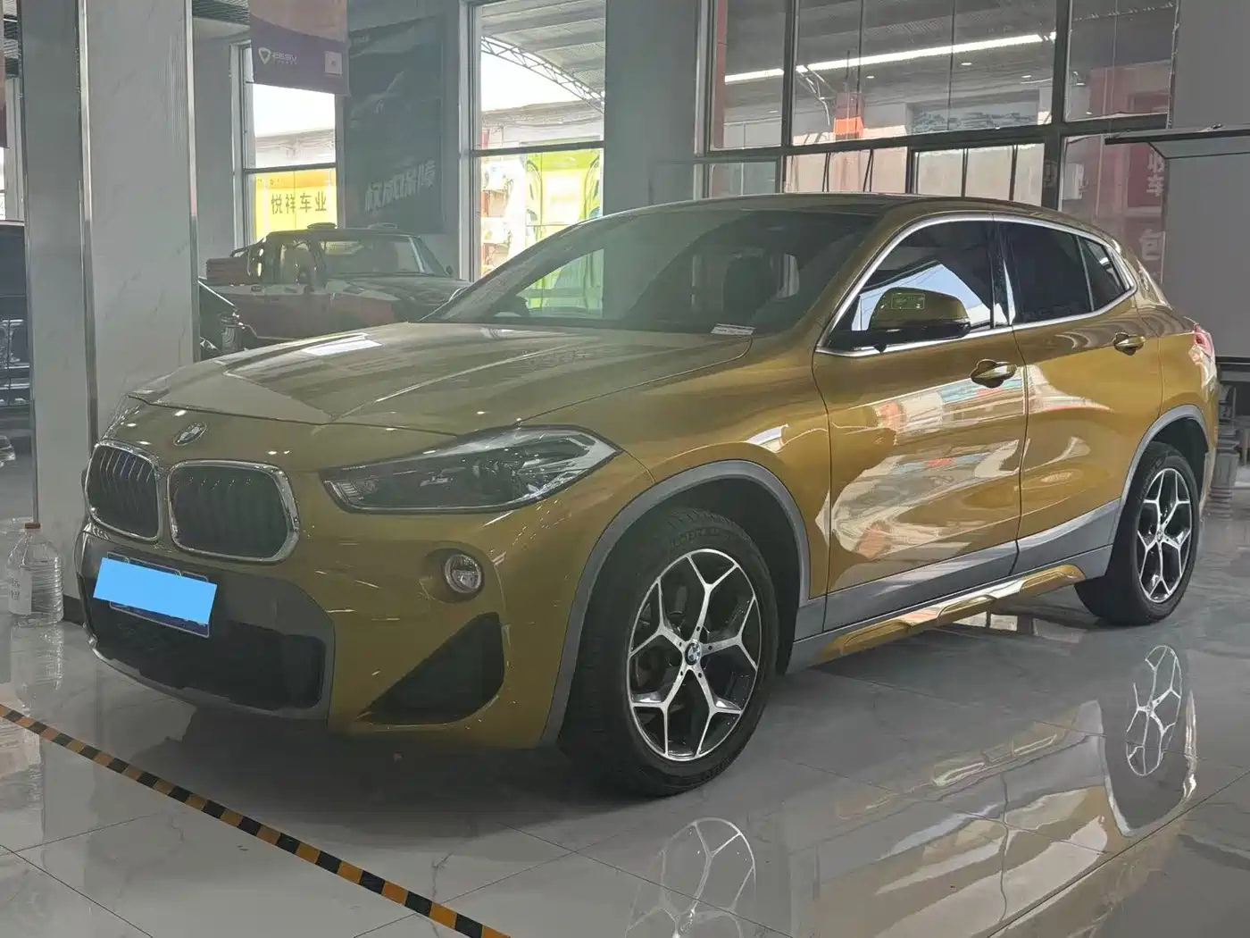 BMW X2 (Import) 2019 sDrive20i M Off-Road Package China VI