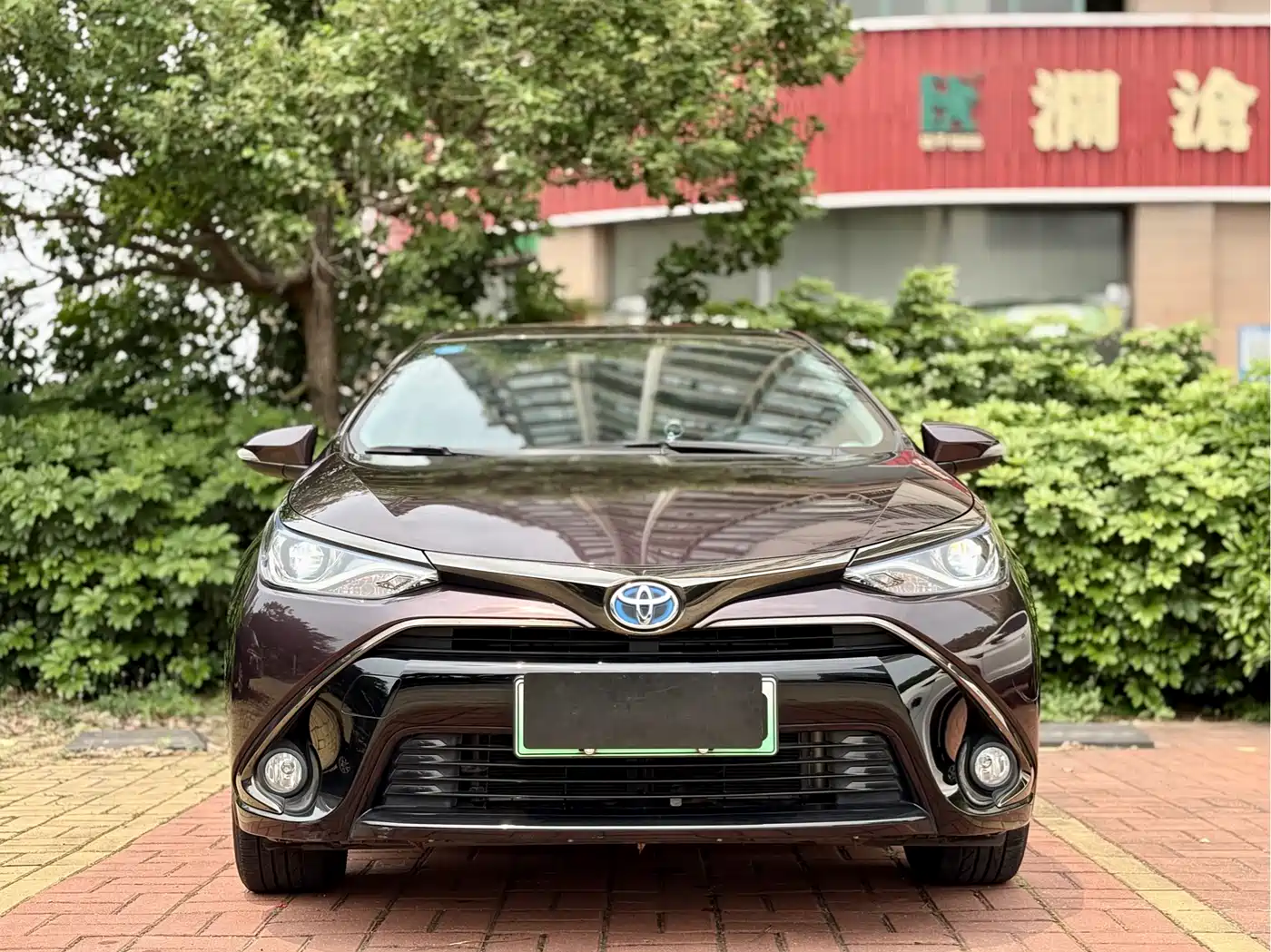 Toyota Levin Twin Engine E+ 2019 1.8PH GS E-CVT Elite Edition фото 2