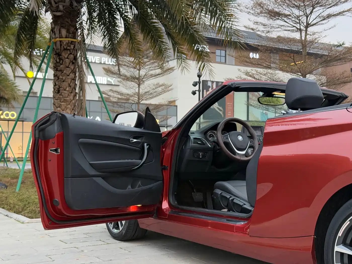 BMW 2 Series (Import) 2018 220i Convertible Coupe Sport Design Package фото 10