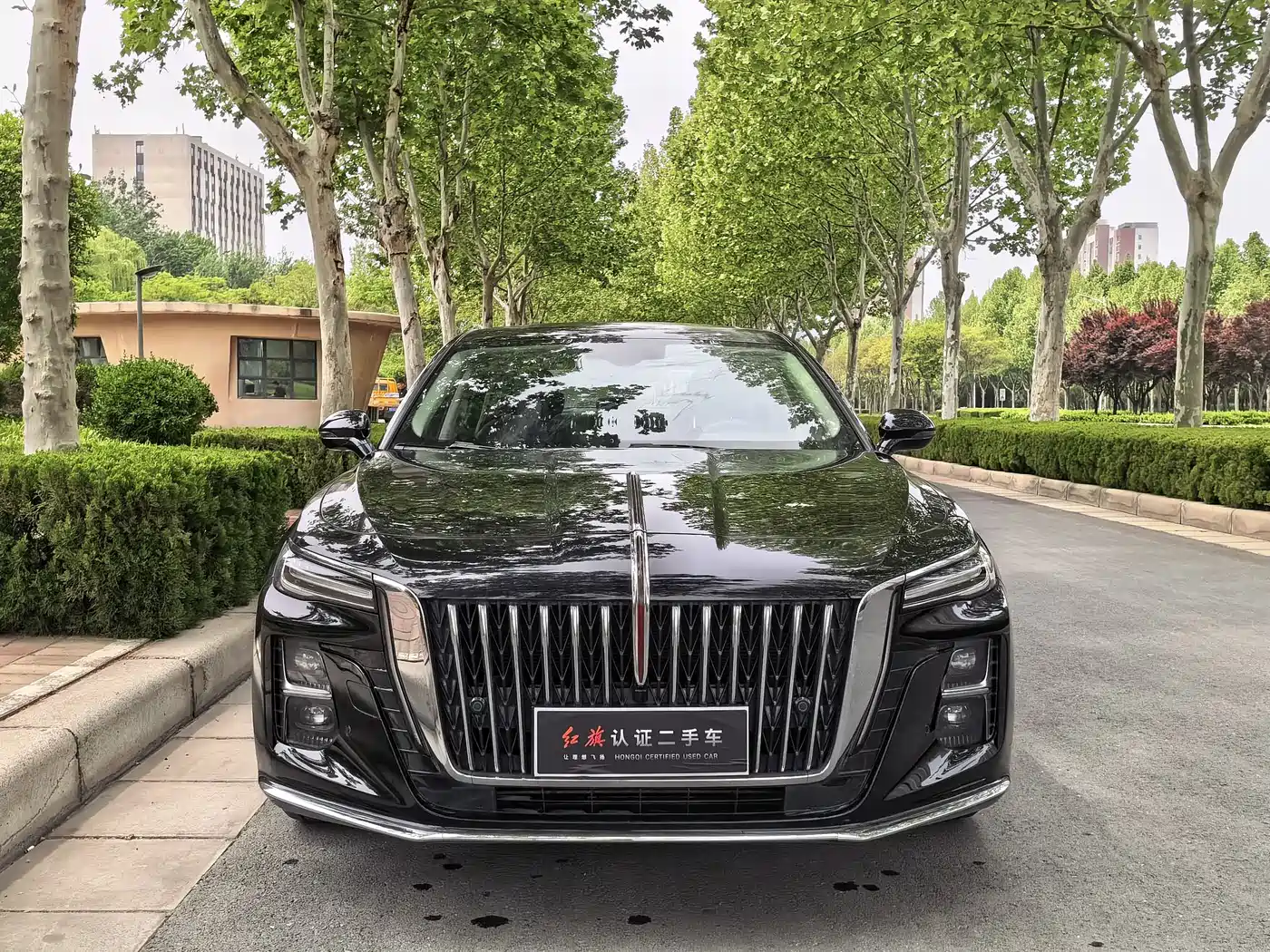 Hongqi H5 2024 1.5T DCT Smart Connect Flag Rhythm Edition фото 2
