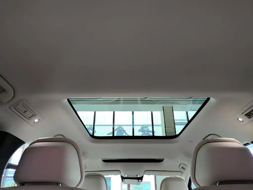 BYD Xia 2025 2025 DM-i 1.5T 100km Surpass Edition