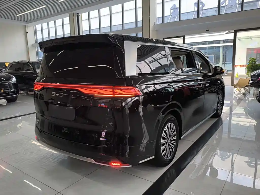 Фото 7 - BYD Xia