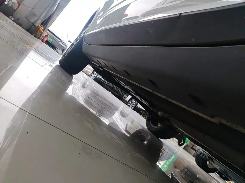 Фото 21 - Roewe RX3