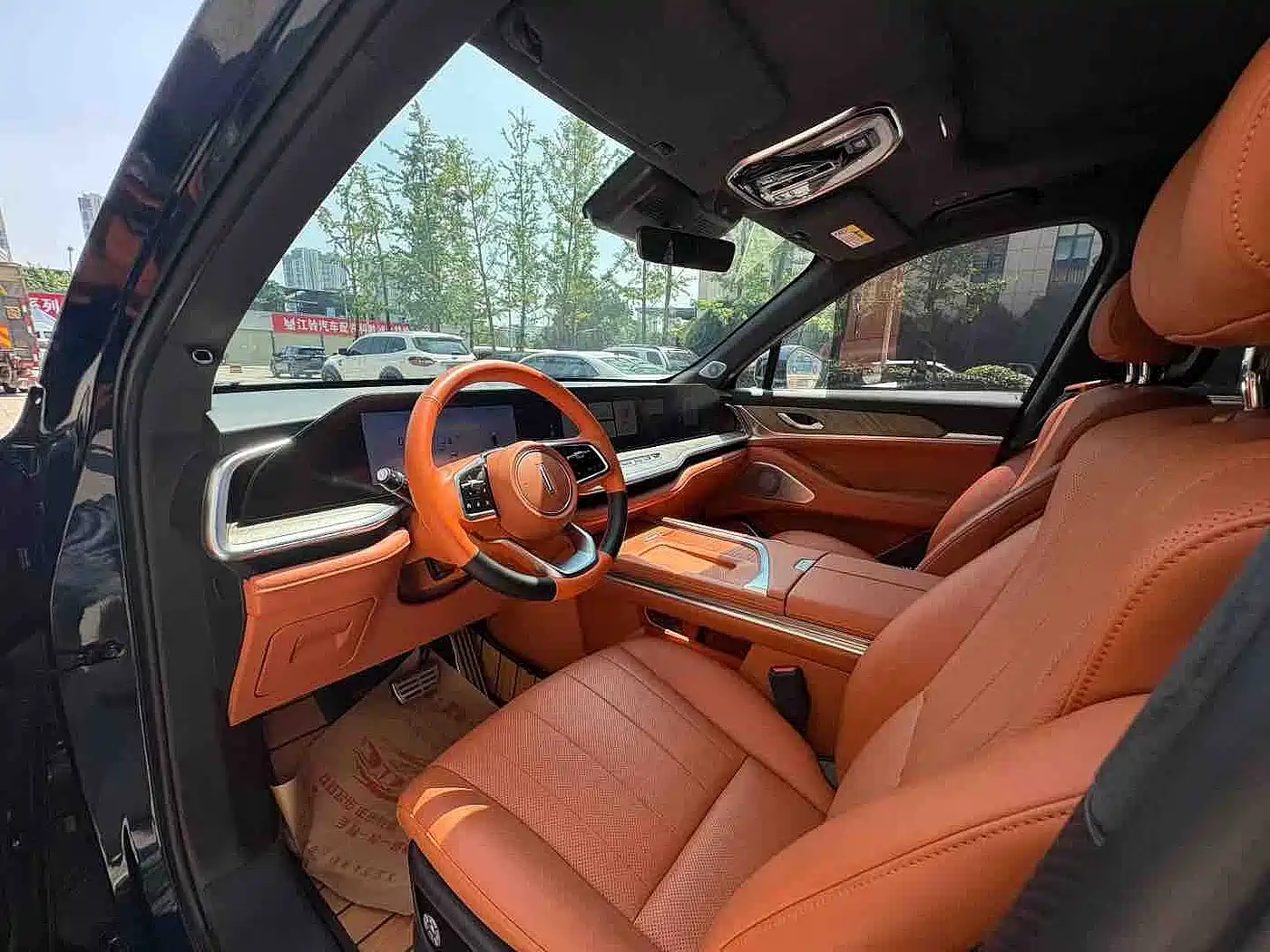 WEI PAI WEI BRAND BLUE MOUNTAIN