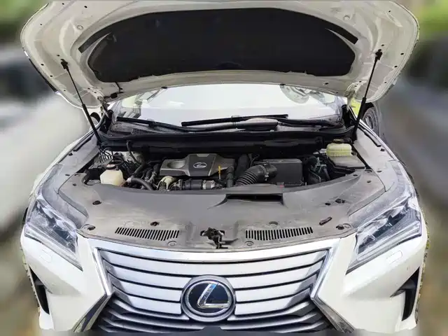 Lexus RX 2016 300 4WD Elegance Edition (China V) — фото 3