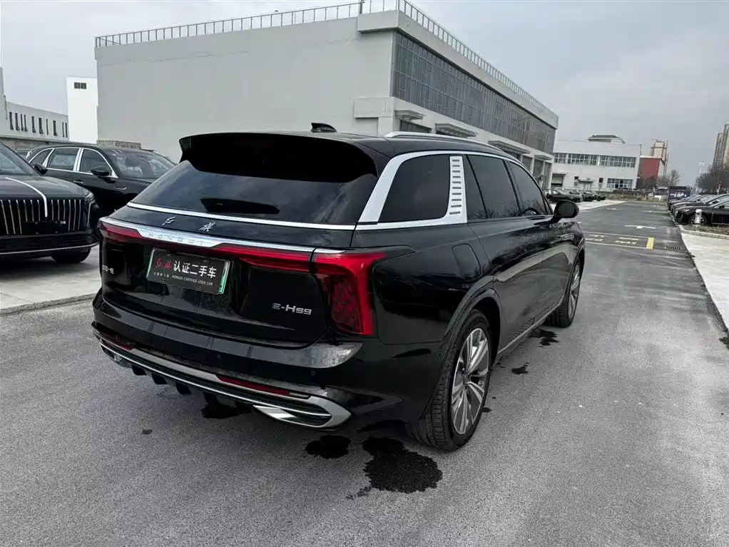 Hongqi HONGQI E HS9