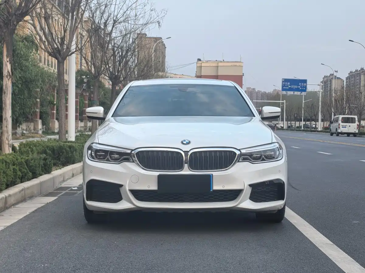 BMW 5 Series 2020 530Li Leading M Sport Package фото 2